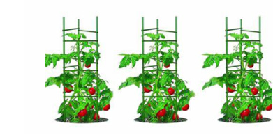 Agriculture Agriculture