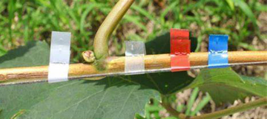 Agriculture Agriculture